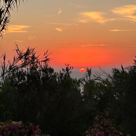 Villa Moma Giardino, Tennis E Piscina Panoramica Ischia Exteriör bild