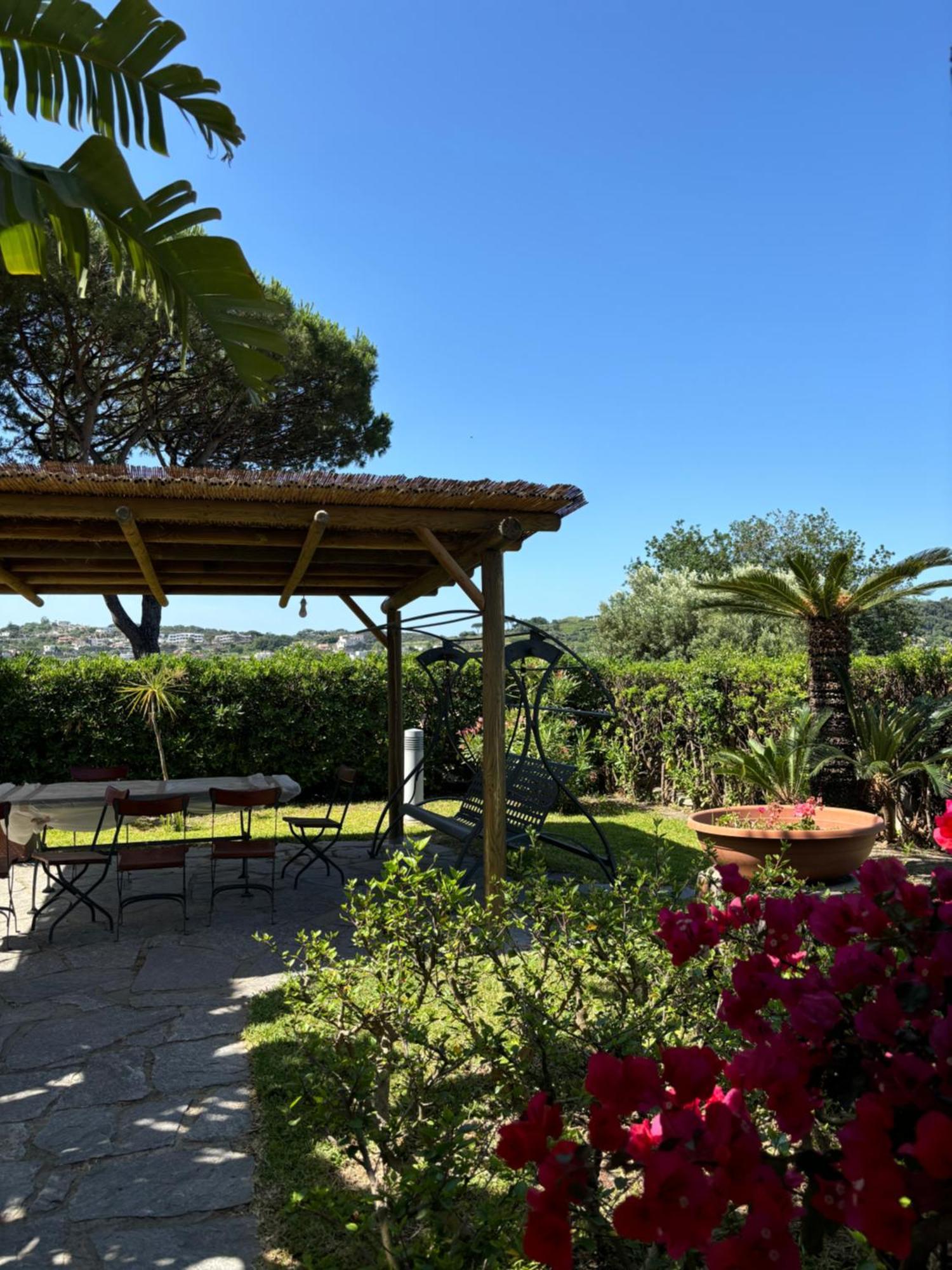 Villa Moma Giardino, Tennis E Piscina Panoramica Ischia Exteriör bild