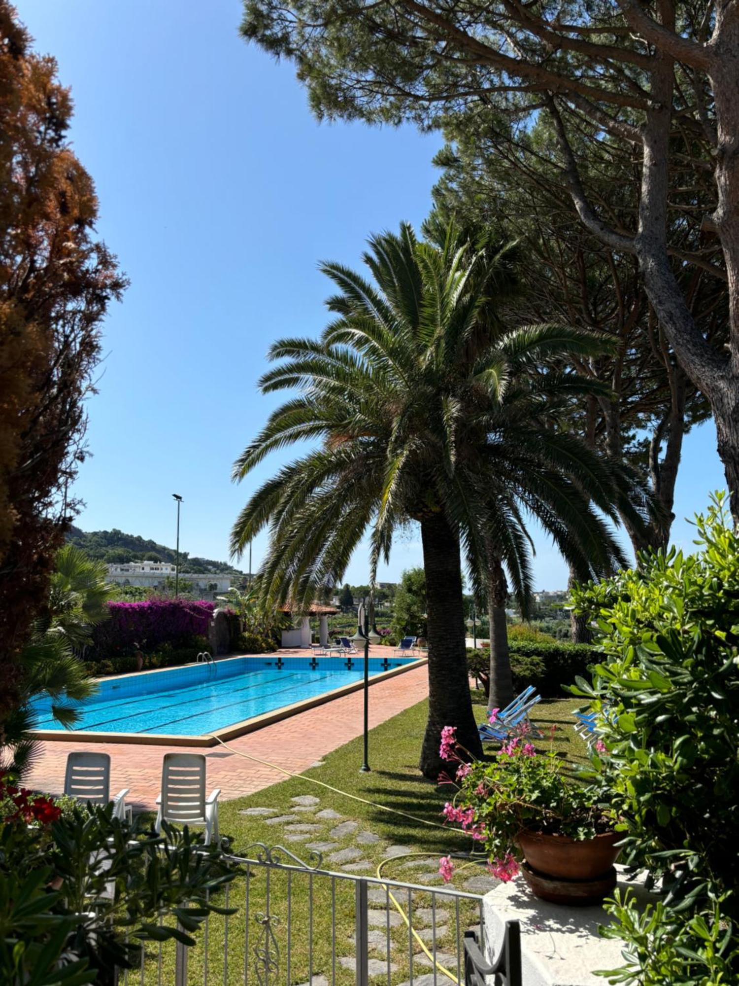 Villa Moma Giardino, Tennis E Piscina Panoramica Ischia Exteriör bild