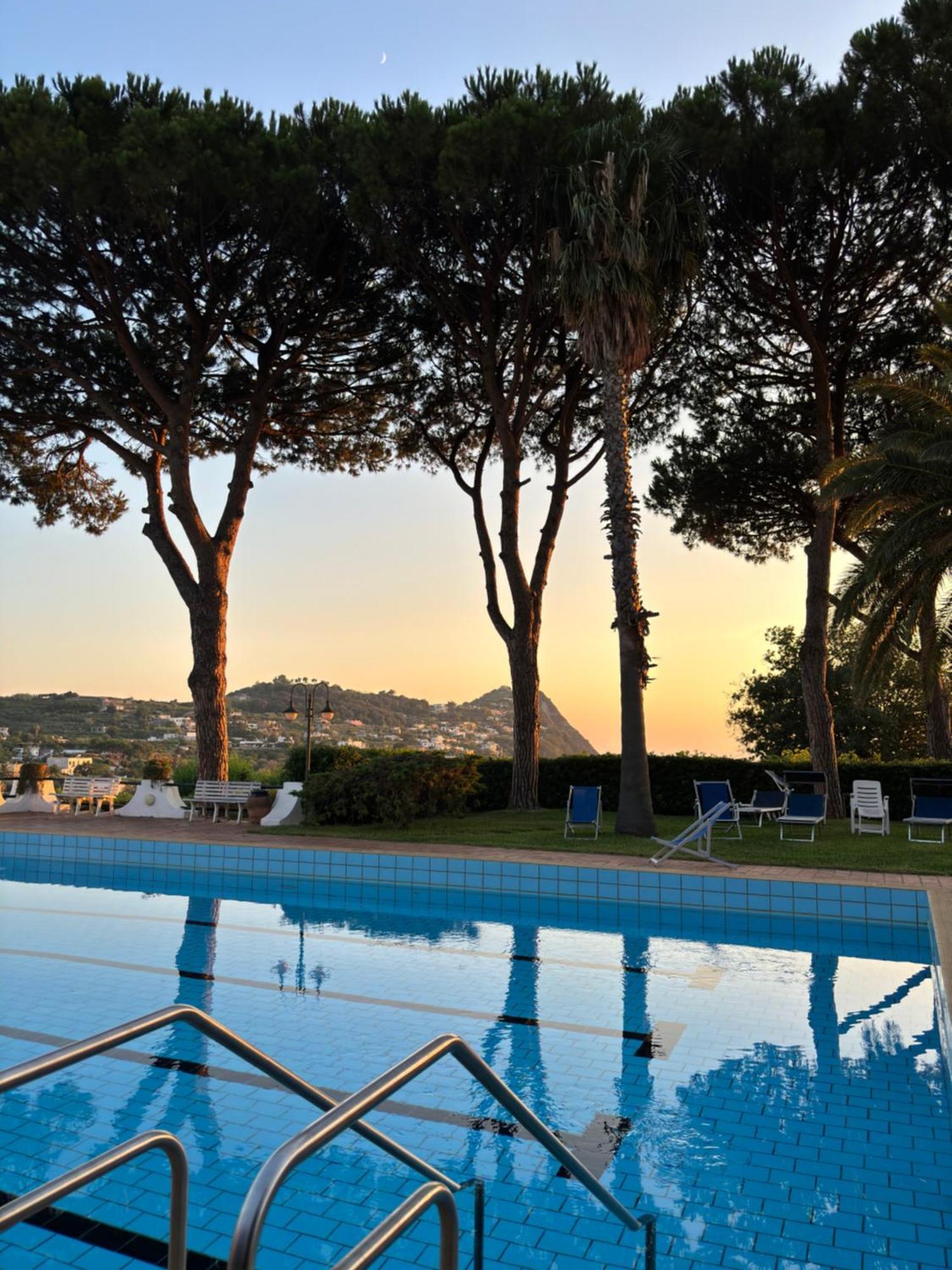 Villa Moma Giardino, Tennis E Piscina Panoramica Ischia Exteriör bild