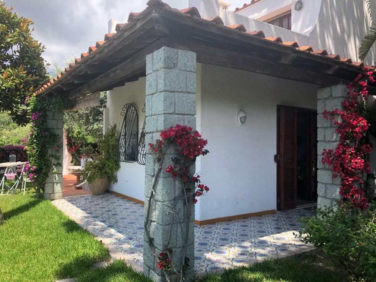 Villa Moma Giardino, Tennis E Piscina Panoramica Ischia Exteriör bild