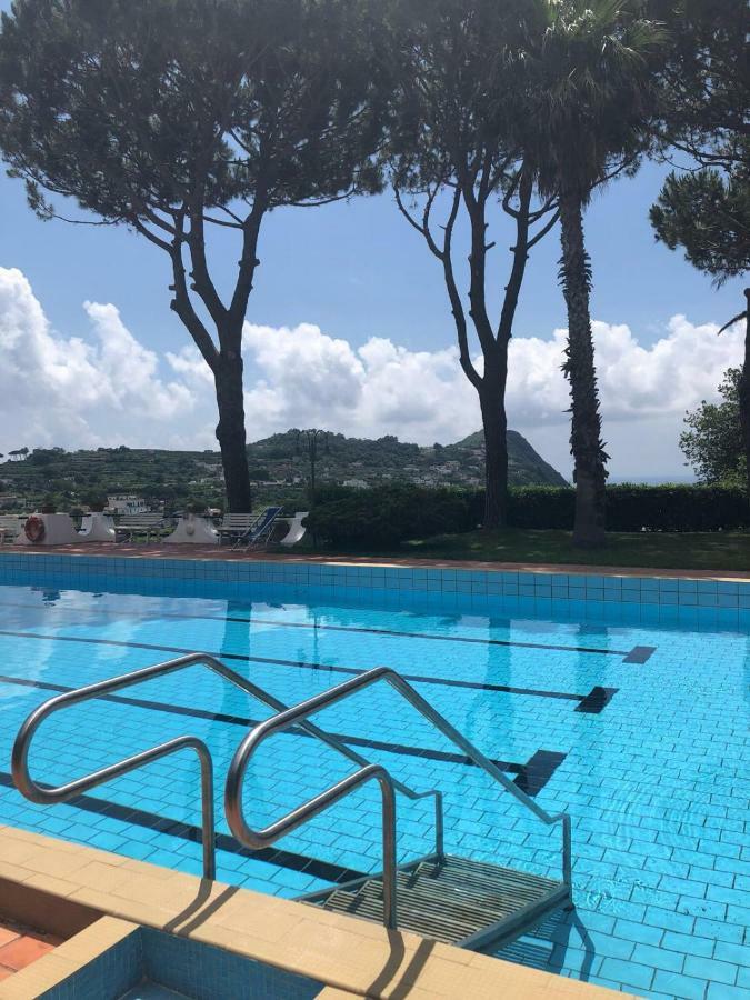 Villa Moma Giardino, Tennis E Piscina Panoramica Ischia Exteriör bild