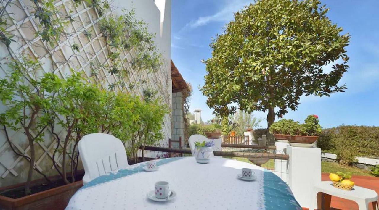 Villa Moma Giardino, Tennis E Piscina Panoramica Ischia Exteriör bild