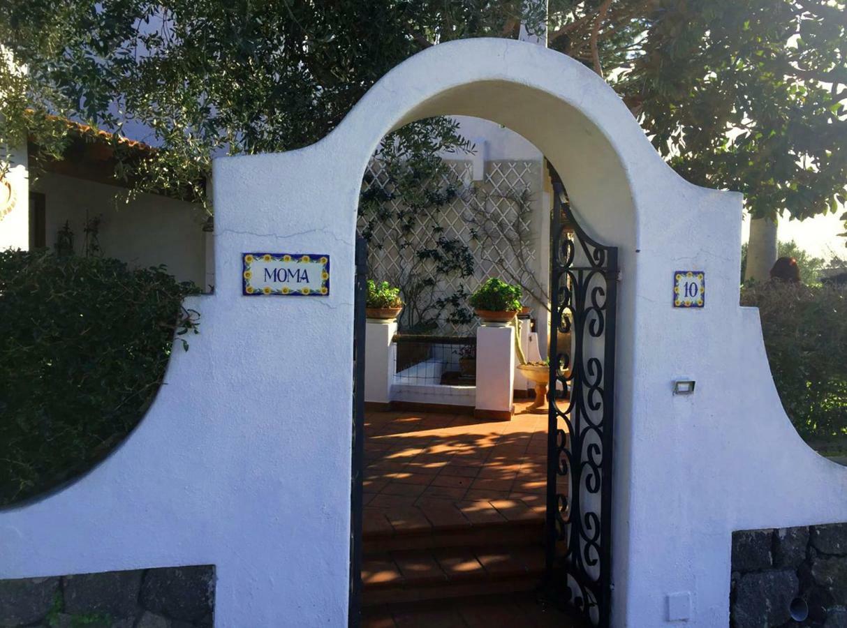 Villa Moma Giardino, Tennis E Piscina Panoramica Ischia Exteriör bild